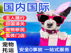 泉州航空快运国际宠物托运 【国